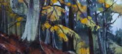 Nature's Stained Glass Window - Autumn Trees - Scotland I | 2013 | Oil on Canvas | 64 x 46 cm